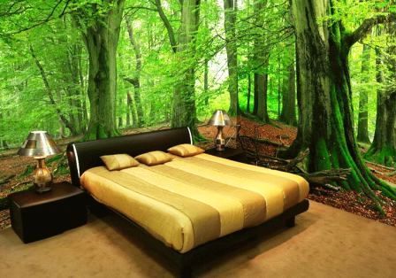 готовые фотообои